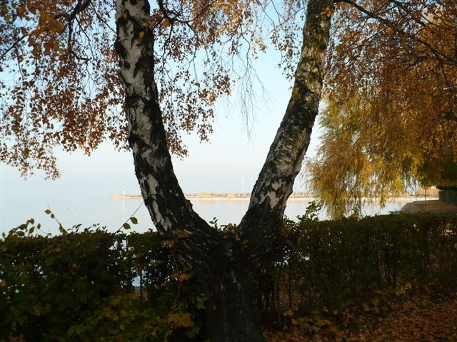 Balaton ősszel napos 1