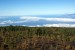 Teide 6.jpg