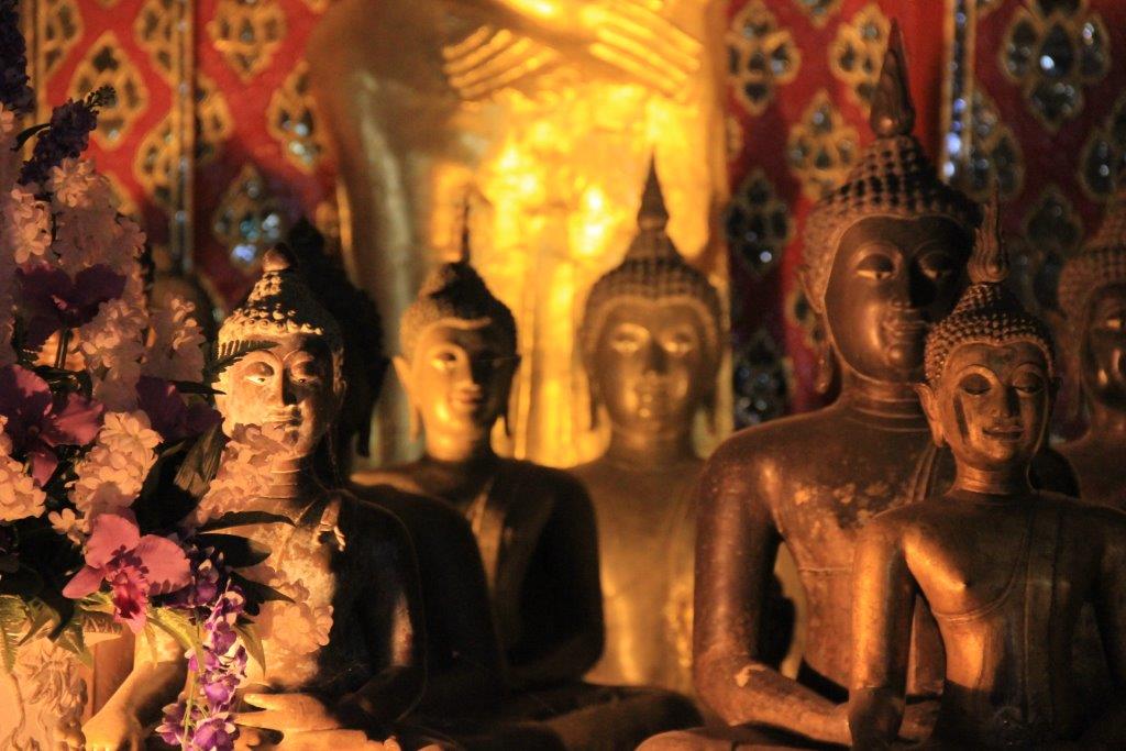 Chiang Mai, Wat Chedi Luang, 2012-13 (24)