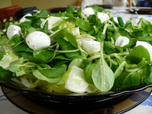 fradi-salata-2-005.jpg