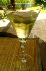 martini-dry1.jpg