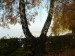 Balaton ősszel napos 1