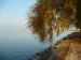 Balaton ősz napos7