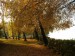 Balaton ősz napos 8